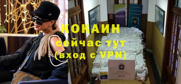 гашик Аркадак