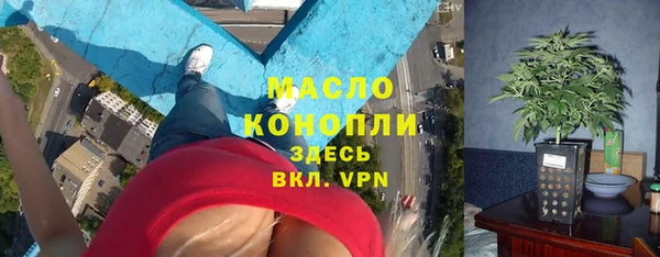 гашик Аркадак