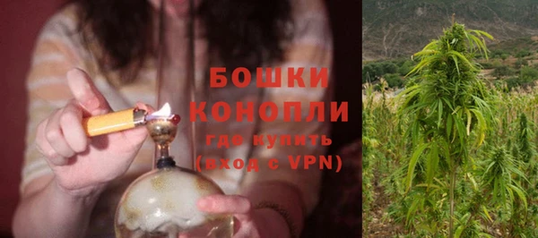 гашик Аркадак