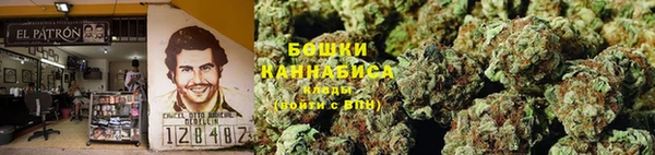 спайс Арсеньев