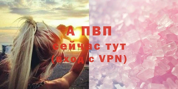 спайс Арсеньев