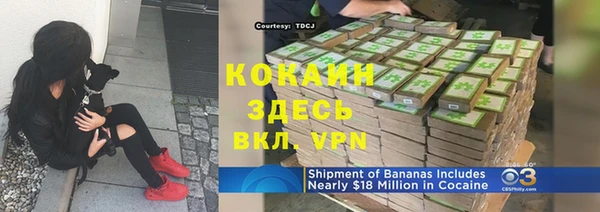 гашик Аркадак